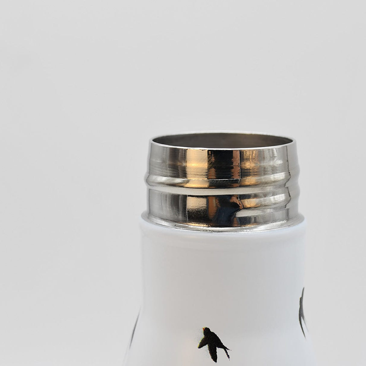 Livre Porto Voyages et histoires I Découverte de Porto  Gourde isotherme "Andorinhas"