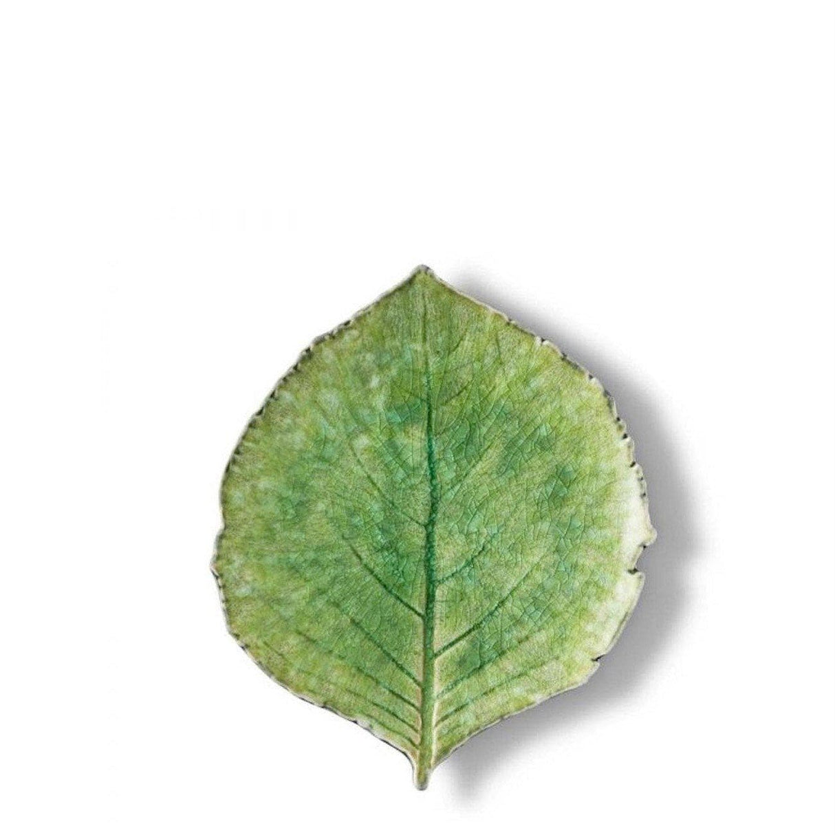 Hydrangea leaf I Fine Stoneware Plate - Light green