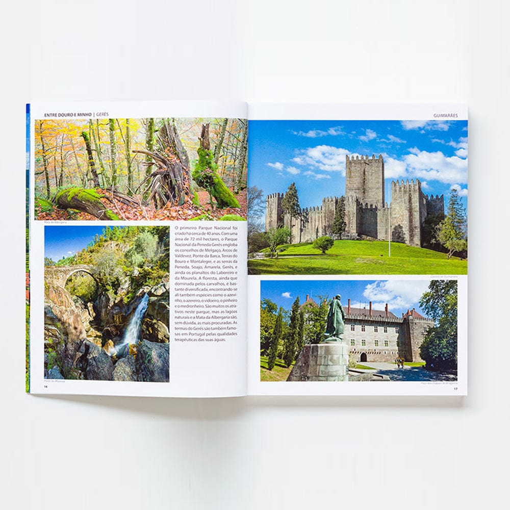 Livre Porto Voyages et histoires I Découverte de Porto Livre "Portugal : Voyages et histoires"