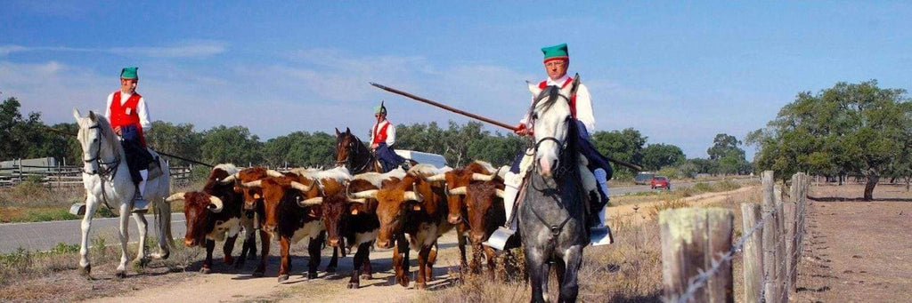 Campinos tradition portugaise à cheval
