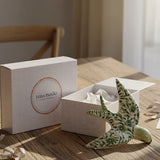 Coffret cadeau hirondelle de Coimbra Verte Coffret hirondelle "Coimbra" - Vert