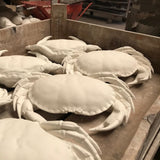 Grand Crabe en céramique rouge I Décoration murale portugaise Crabe en céramique - Rouge