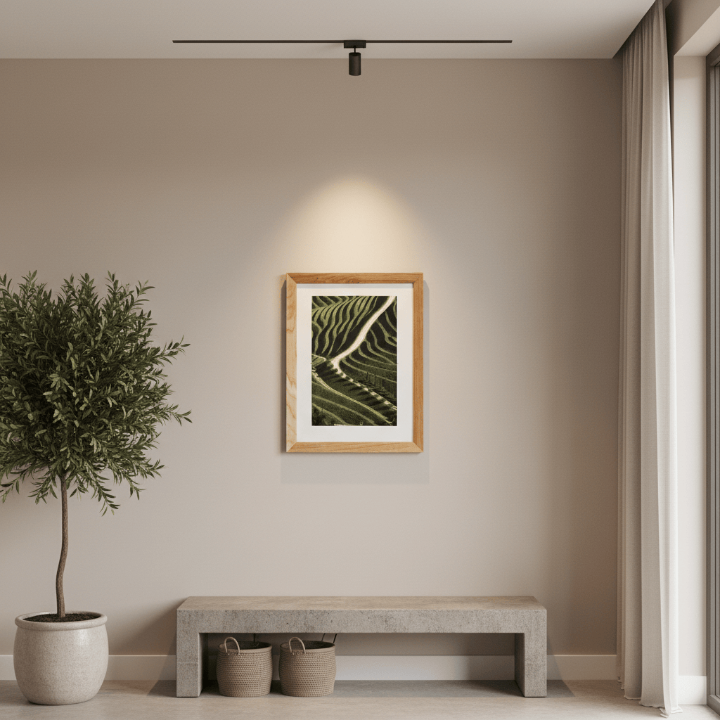 Photo d'art signée des vignes du Douro Photo d'art signée "Vinyards"