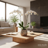 Pot en céramique de Coimbra Pot en céramique de Coimbra