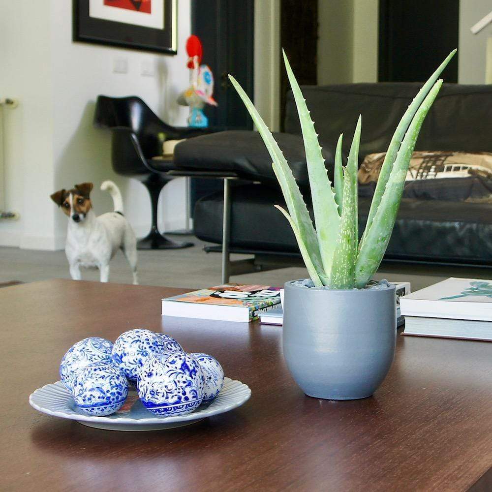 Coimbra I Decorative Ball