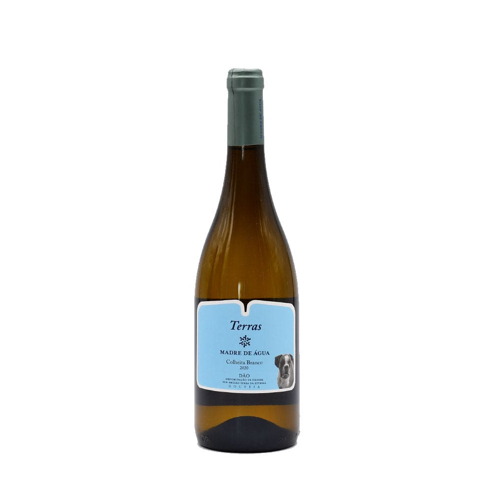 Terras Madre de água 2019 I Vin blanc du Dão - 75cl