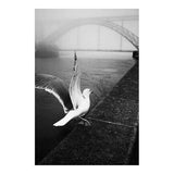 Photo d'art signée "Morning fog#4"