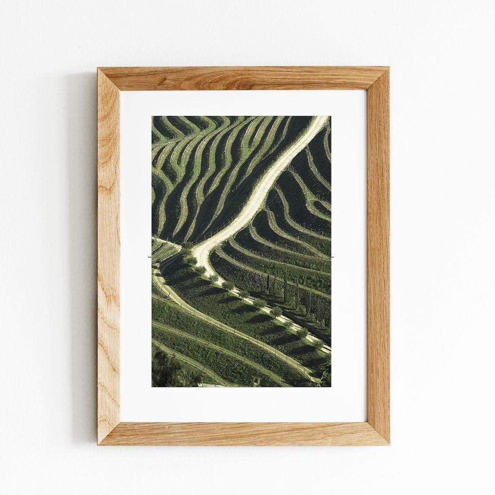 Photo d'art signée "Vinyards"